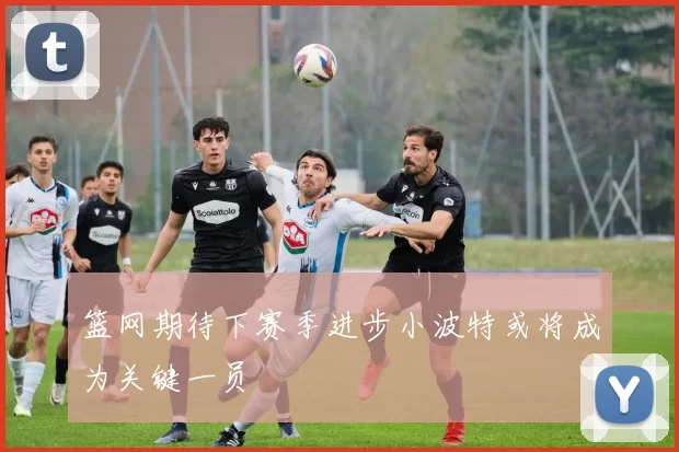 篮网期待下赛季进步小波特或将成为关键一员