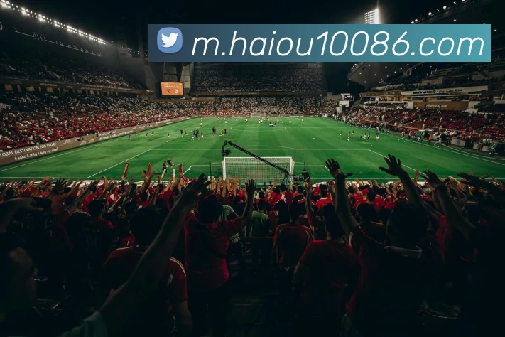 海鸥体育品牌故事